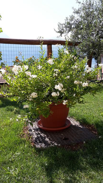 Agriturismo Botton D'Oro ดองโก ภายนอก รูปภาพ